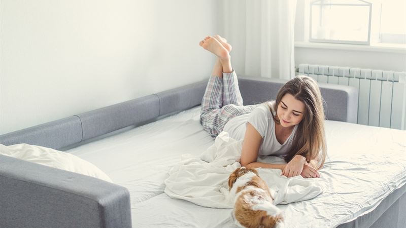 Innovative Folding Bed Trends Shaping 2025 – Transforming Small Space Living