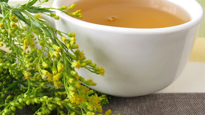 Comprehensive Strategies to Prevent Kidney Infections and Maintain Urinary Health