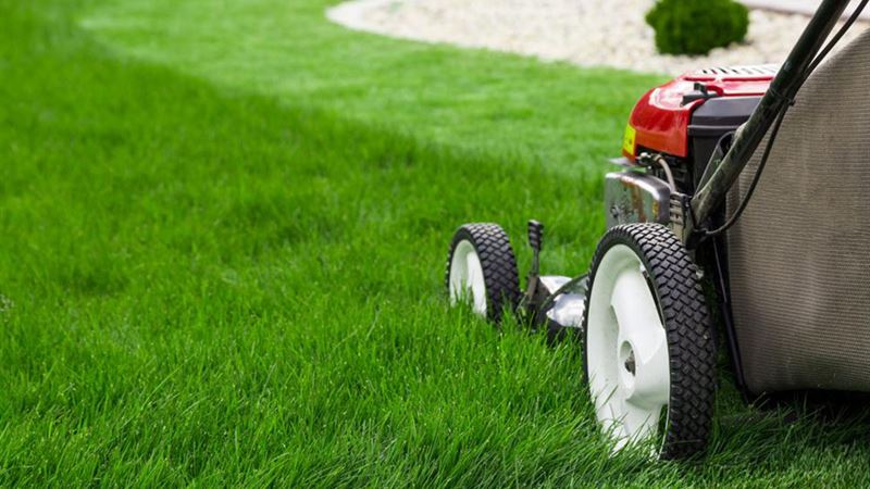 Ultimate Guide to Choosing the Perfect Lawn Edger for Your Garden