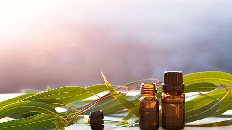 Top Home Solutions for Relieving Nasal Congestion Naturally