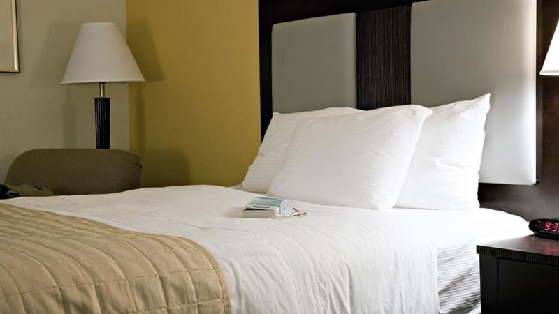 Comprehensive Comparison Between Latex and Memory Foam Mattresses: Which One Is Right for You?