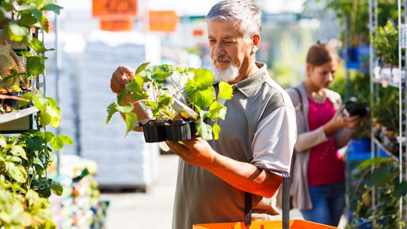 Transform Your Backyard into a Beautiful and Functional Garden: A Complete Guide