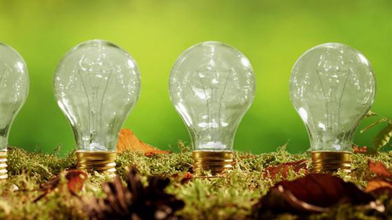 Comprehensive Guide to Different Types of Light Bulbs for Modern Lighting Solutions