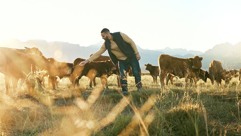 Comprehensive Advantages of Implementing Advanced Farm Management Systems