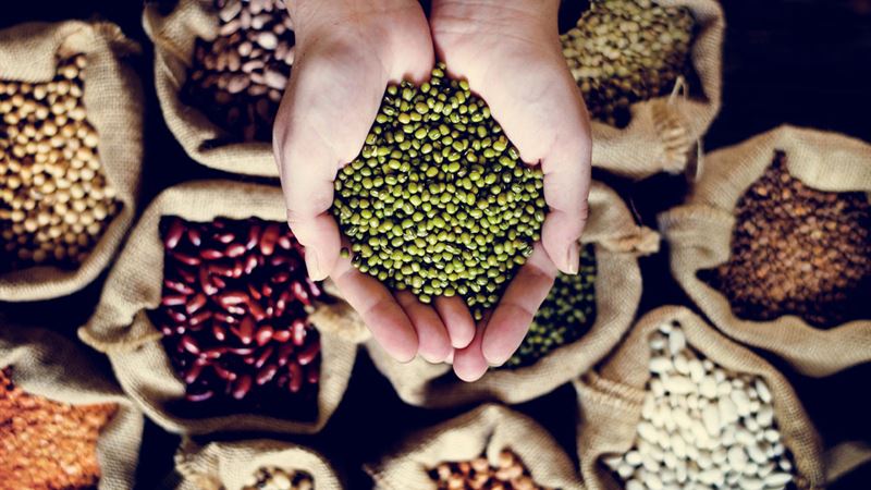 Comprehensive Guide to Magnesium-Rich Foods and Their Role in Promoting Overall Health