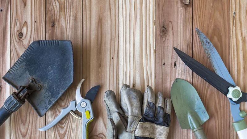 Comprehensive Guide to High-Quality Garden Tools from Harbor Freight