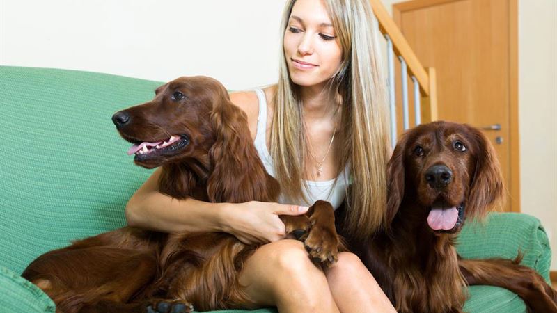 A Comprehensive Guide to the Origin and Evolution of the Pet-Friendly Residence Halls