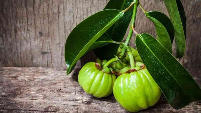 Garcinia Cambogia: Exploring Its Potential Benefits and Risks