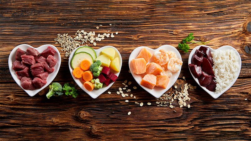 Top 5 Nutrient-Rich Foods to Keep Your Dog Healthy and Happy