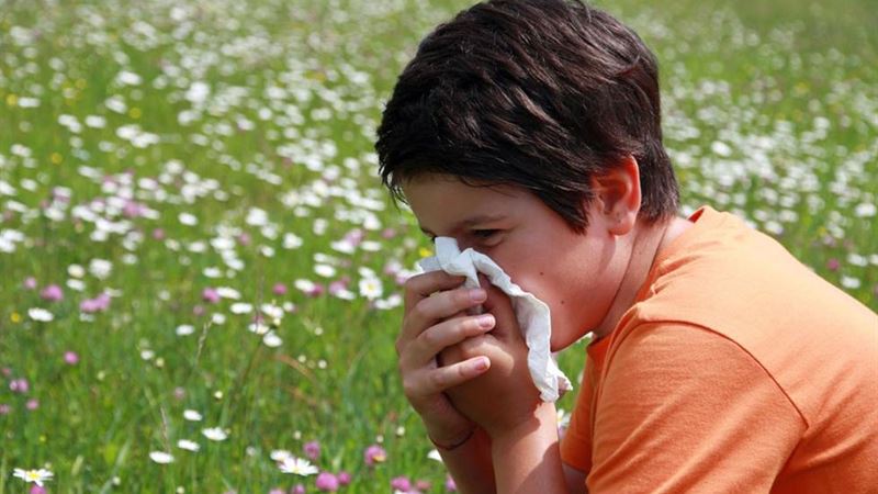 Comprehensive Guide to Recognizing and Managing Pollen Allergies