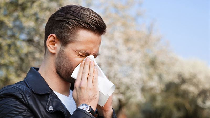 Top Ten Cities with Minimal Allergy Triggers for Respiratory Sensitivities