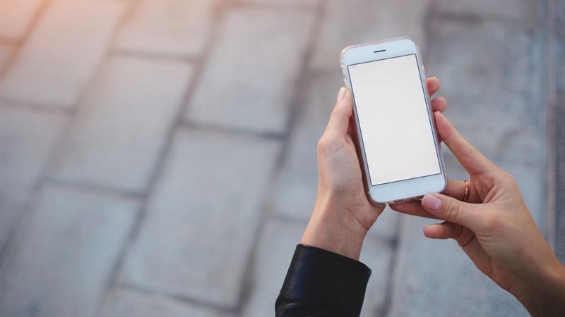 Comprehensive Guide to the Top-Rated Smartphones of 2024