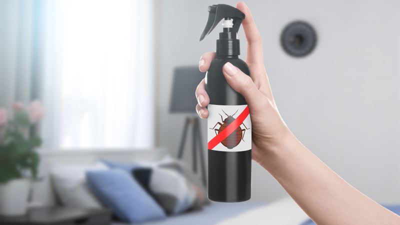 Comprehensive Guide to Factors Influencing Bed Bug Eradication Expenses