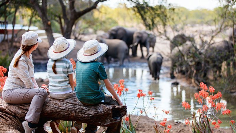 The Ultimate Guide to Africa's Most Luxurious Safari Lodges