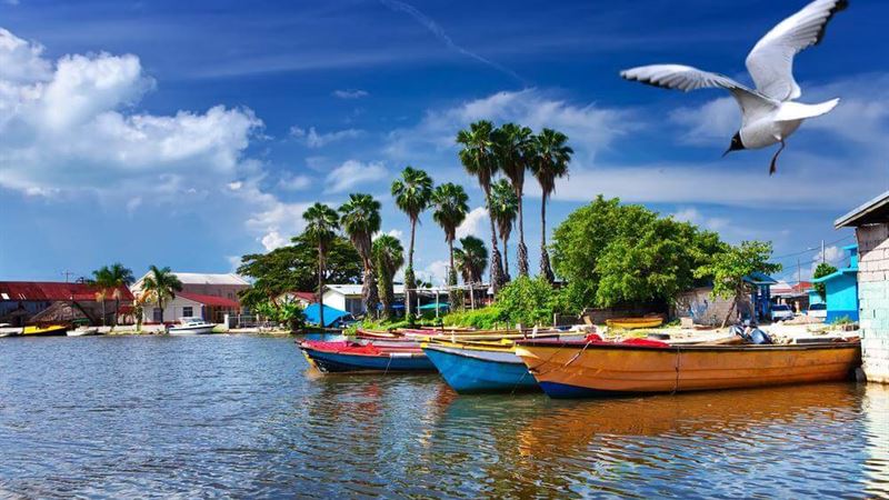 Ultimate Guide to Planning Your Perfect Vacation in Jamaica: Tips, Best Spots, and Accommodations