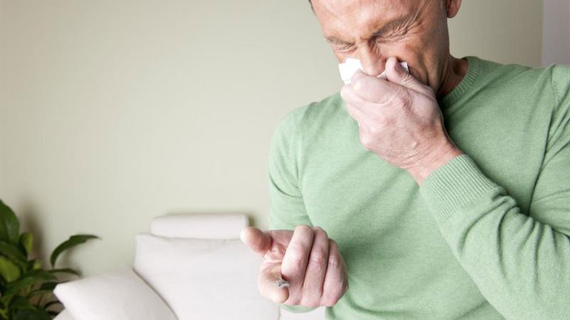 Comprehensive Guide to Mold Allergy: Causes, Indicators, and Effective Treatment Options