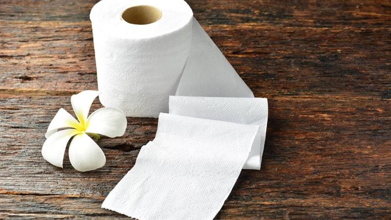 Comprehensive Guide to Wholesale Paper Towel Suppliers and Manufacturers