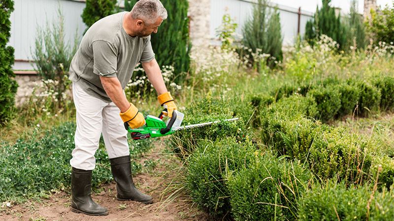 Comprehensive Guide to Choosing the Right Lawn Care Services for Your Home