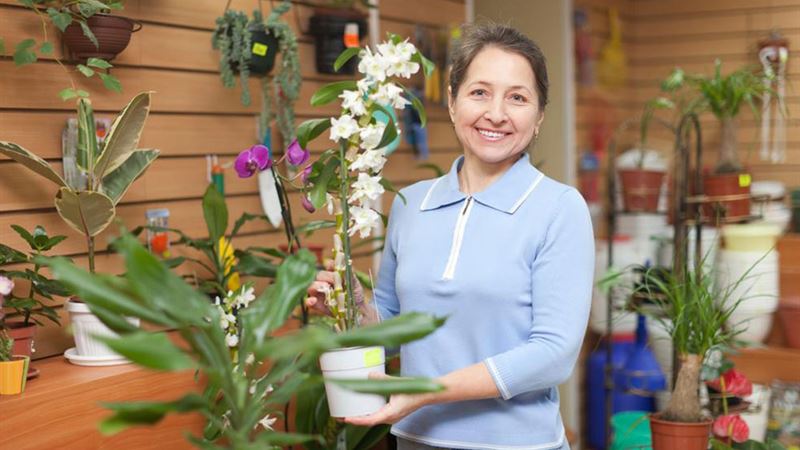 How to Properly Repot Your Orchids for Healthy Growth