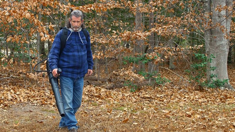Affordable and High-Performance Leaf Blowers for Every Garden