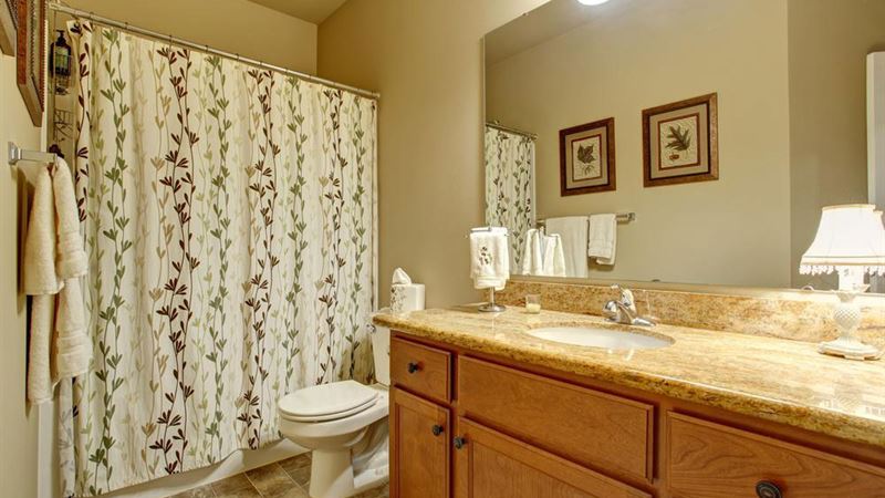 Choosing the Ideal Bathroom Curtains: A Complete Guide to Premium Options