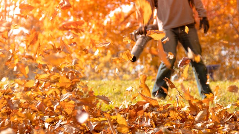 Comprehensive Guide to Selecting the Optimal Leaf Blower for Your Yard