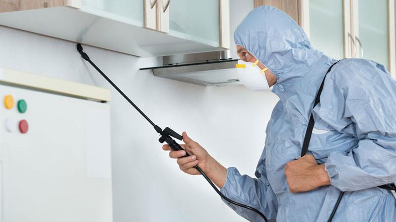 Comprehensive Guide to Pest Control: Strategies, Benefits, and Eco-Friendly Solutions