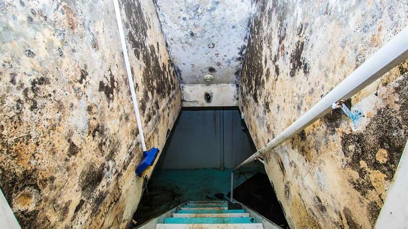 Comprehensive Guide to Water Damage Categories and Home Restoration Strategies