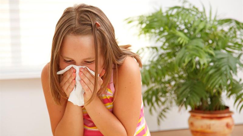 Effective Strategies to Prevent Common Allergy Sources and Minimize Their Impact