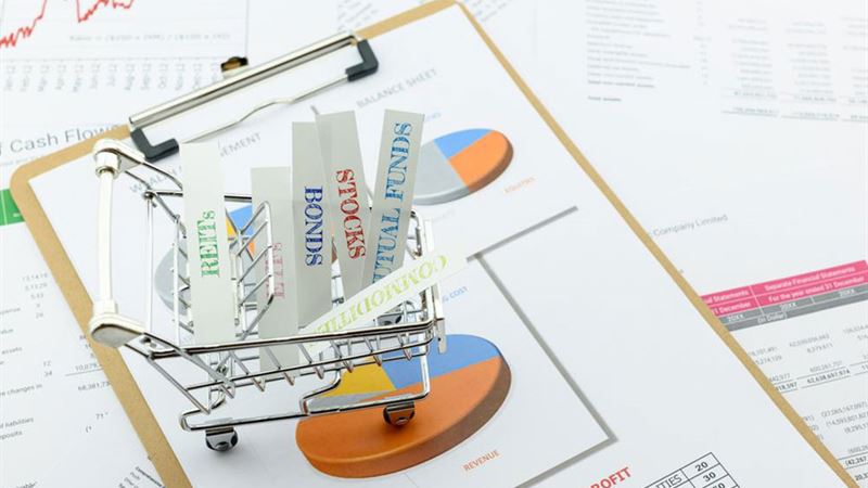 Comprehensive Guide to the Roles and Functions of Wealth Management Companies