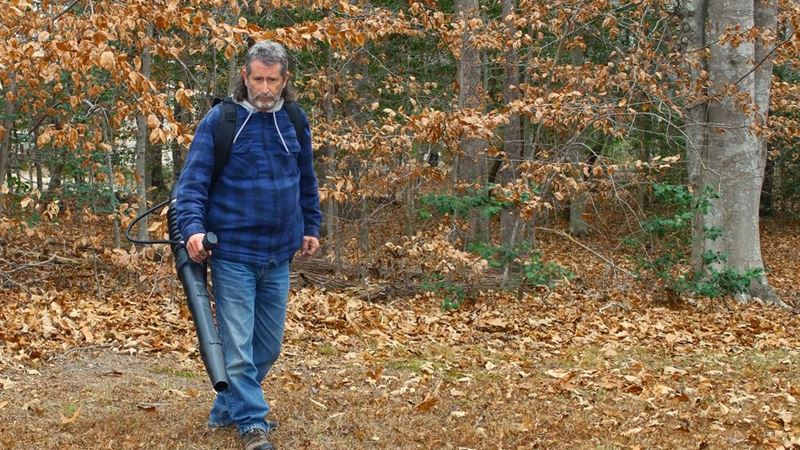 Comprehensive Guide to Choosing the Ideal Gas Leaf Blower for Your Yard