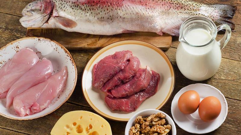 Essential High-Protein Foods to Incorporate into Your Daily Diet