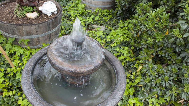 Comprehensive Guide to Popular Water Fountain Types and Their Features