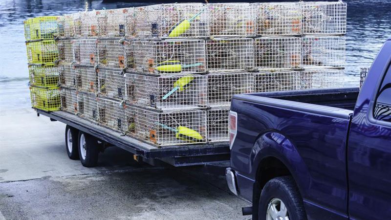 Comprehensive Guide to Purchasing the Perfect Dump Trailer