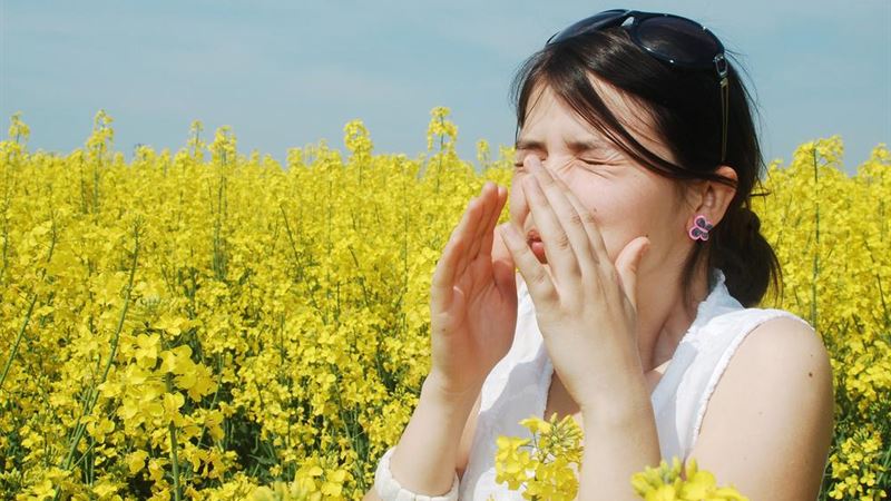 Comprehensive Guide to Recognizing and Managing Pollen Allergy Symptoms