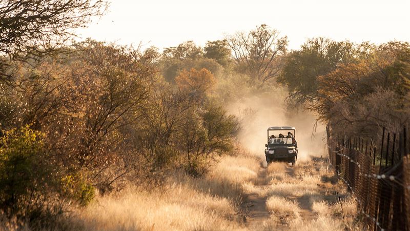 Ultimate Guide to Affordable South Africa Safari Adventures
