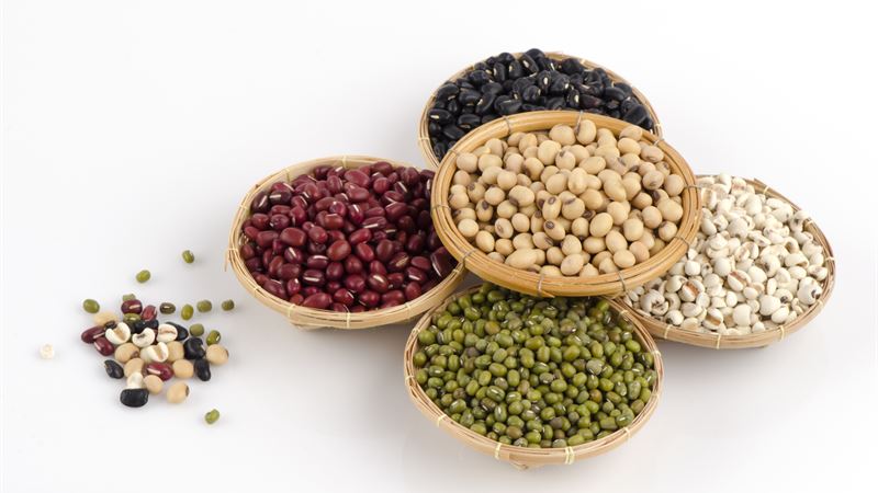 Essential Nutrition Strategies for Managing Kidney Health and Disease