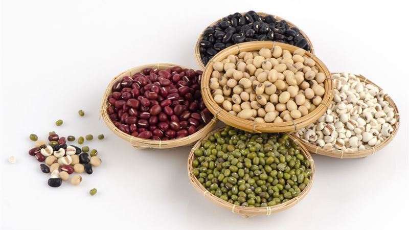 Essential Nutrients and Foods to Strengthen and Maintain Healthy Bones