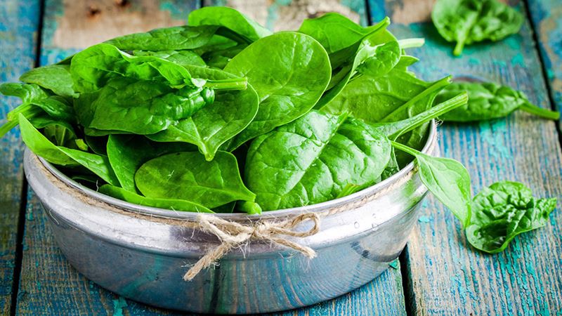 Nourishing Foods and Treatments to Alleviate Migraine Pain Naturally