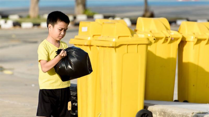 Tracing the Environmental Impact and Historical Evolution of Plastic Shopping Bags