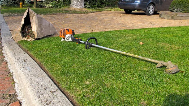 Comprehensive Guide to Choosing the Perfect Weed Trimmer for Your Garden