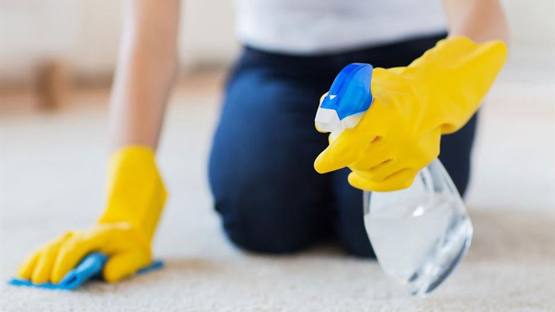 Comprehensive Guide to Selecting the Best Commercial Carpet Cleaning Services