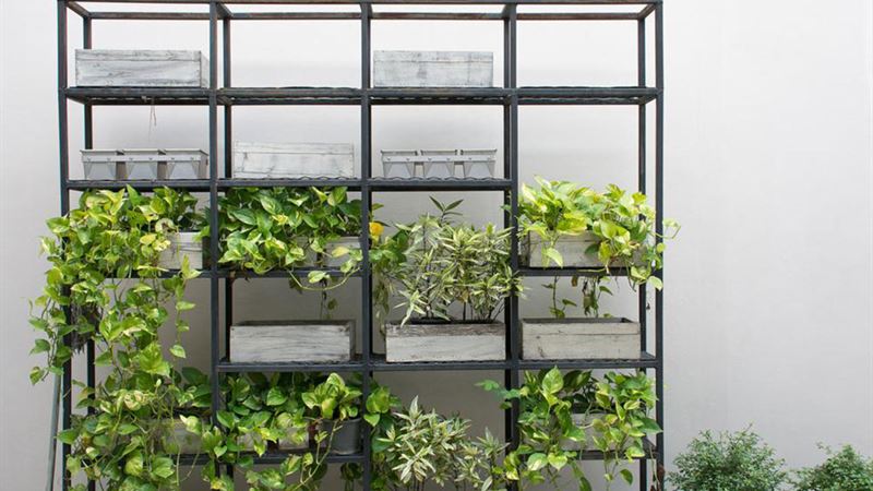 Innovative Techniques for Organizing Your Home with Wire Shelving Solutions