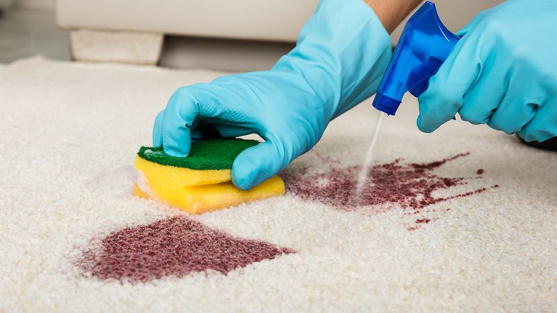 Ultimate Guide to Selecting the Perfect Carpet Stain Removal Solutions
