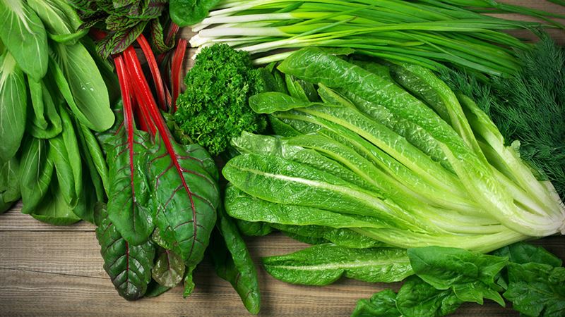 Comprehensive Dietary Strategies for Diabetes Management and Potential Reversal