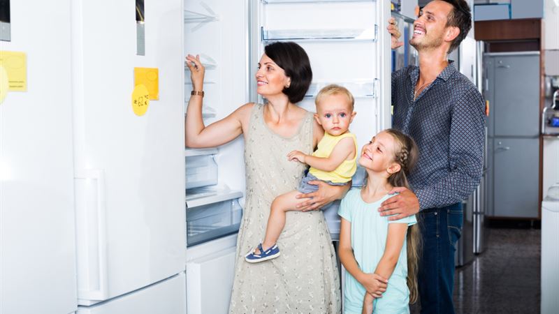 Comprehensive Guide to Selecting and Upkeeping Your Refrigerator