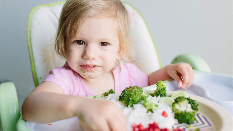 Creative and Nutritious Lunch Ideas Your Toddlers Will Adore