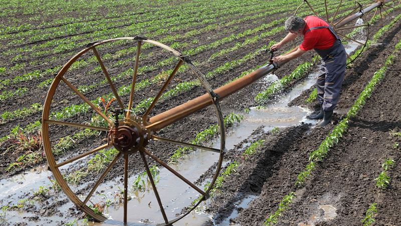 Comprehensive Guide to Modern Irrigation Techniques and Essential Maintenance Tips