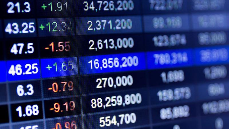 Comprehensive Guide to Stock Photography: Everything You Need to Know