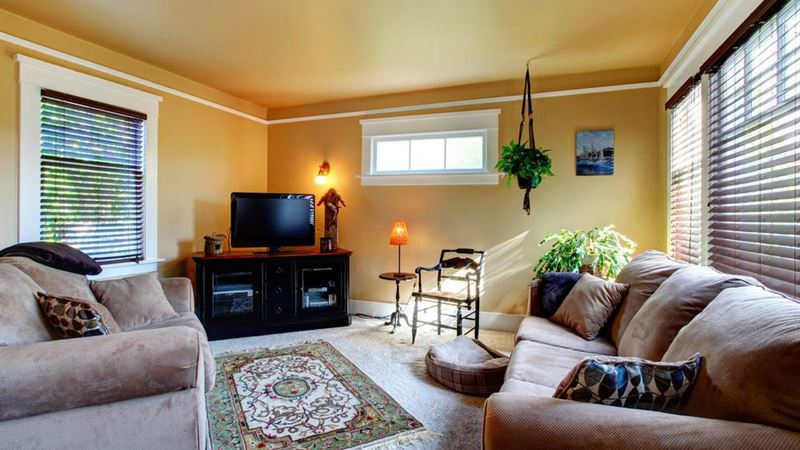 Essential Guidelines for Purchasing Rugs Online: Make Informed Choices